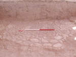 L_V16d0123 J1v14e N810 jjj x closeup of floor after sherd removal.jpg L_V16d0123 J1v14e N810 jjj x closeup of floor after sherd removal